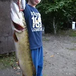 Panterej Goscinne * Kruklanki