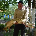 Panterej Goscinne Ubytování v soukromí *