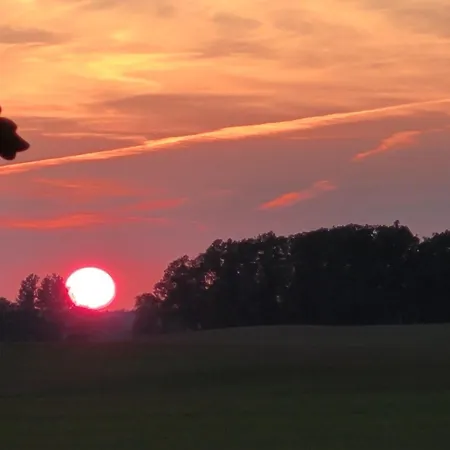 Privat bolig Panterej Goscinne *