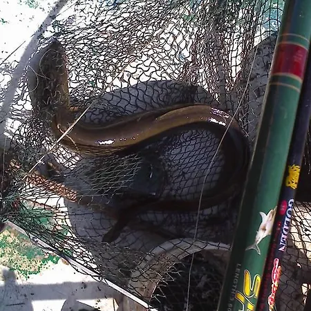 Panterej Goscinne Kruklanki