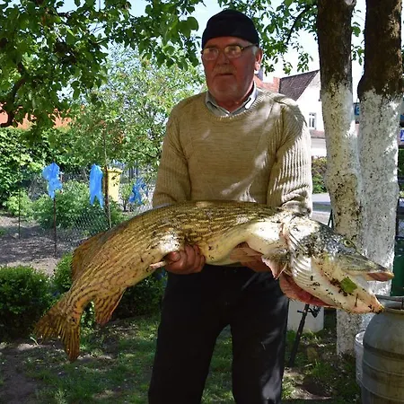 Panterej Goscinne Privat bolig *